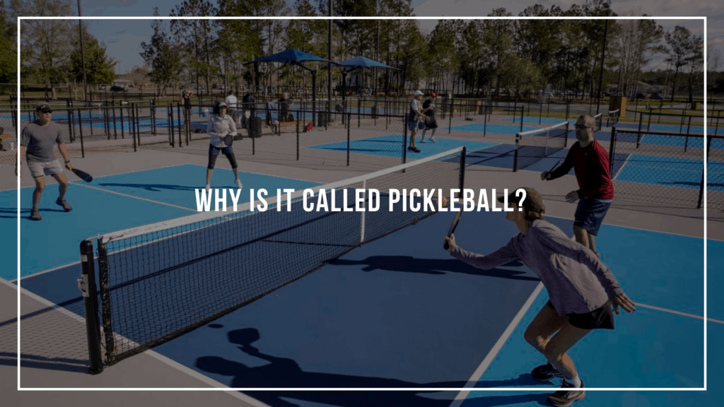 Why Is It Called Pickleball? Pickleballin