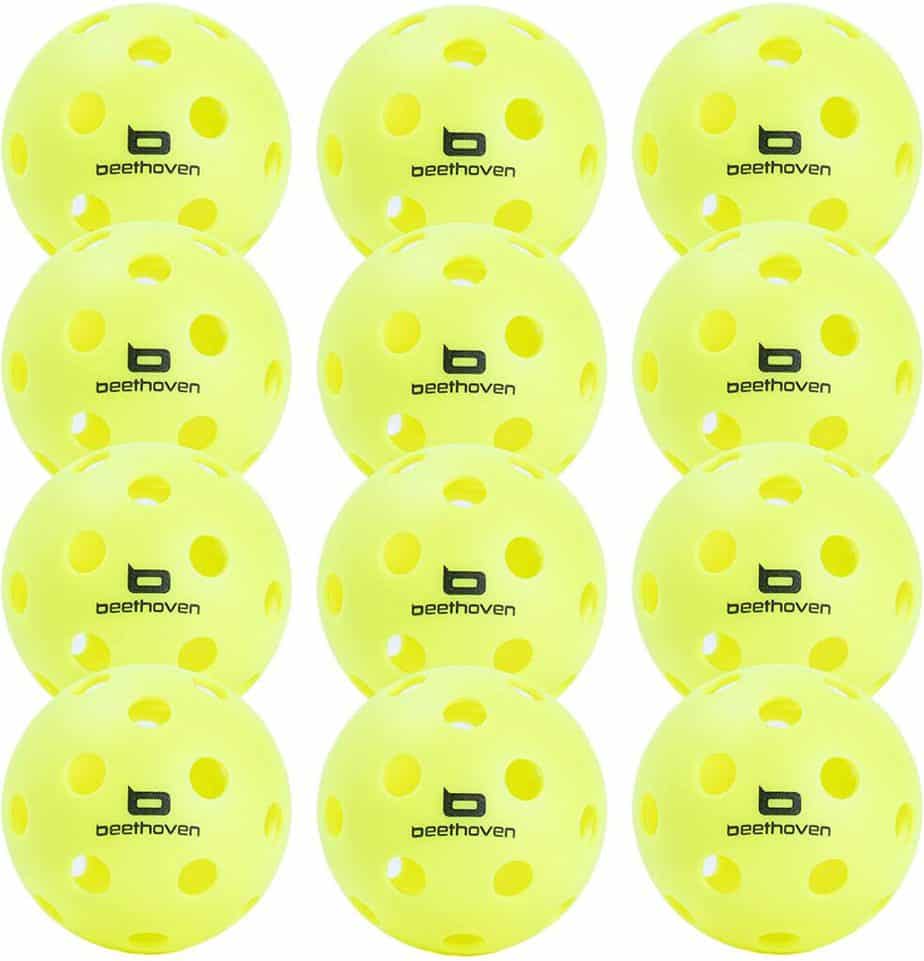 The Best Pickleball Balls: Beethoven Bird 12-Pack Indoor-Outdoor Pickleball Balls