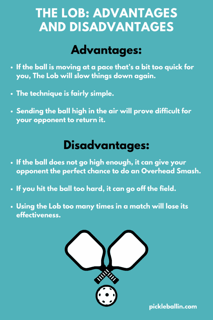 The Lob Infographic